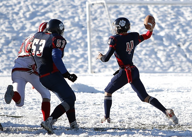 多球迷的关 多球迷的关