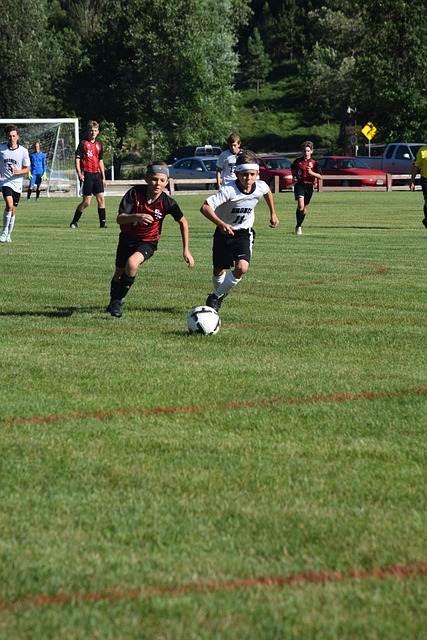 术上的多样 术上的多样