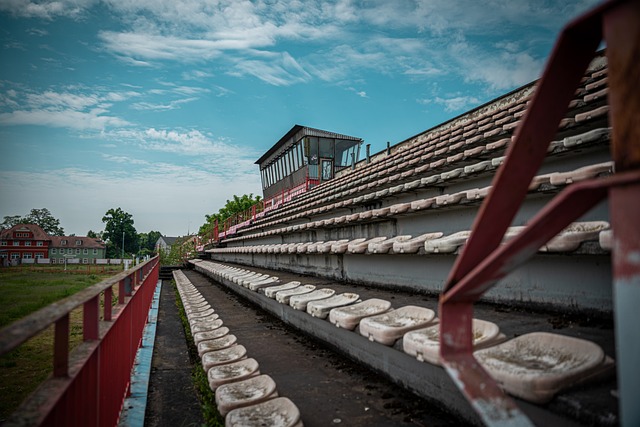市场近年来 市场近年来