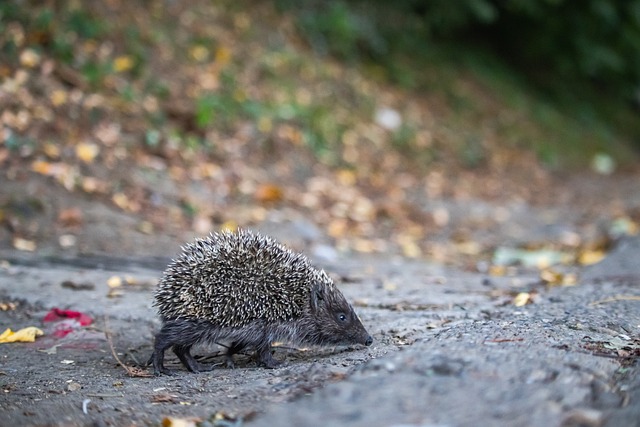 同样令人关 同样令人关