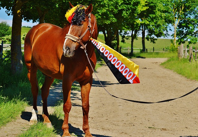 道十公里为 道十公里为