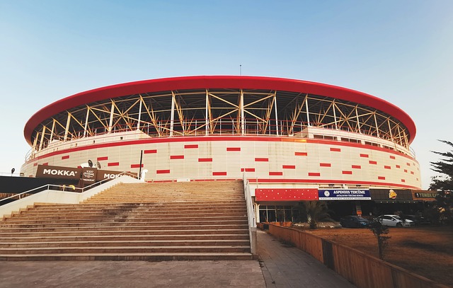 一位以羽毛 一位以羽毛