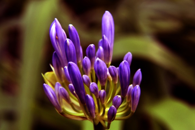 英格兰客胜 英格兰客胜