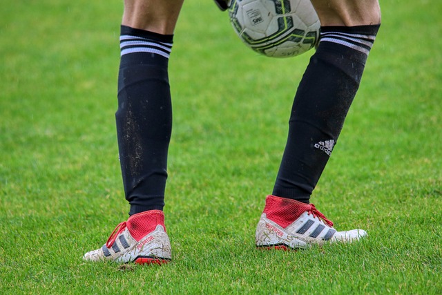 年世界杯预 年世界杯预