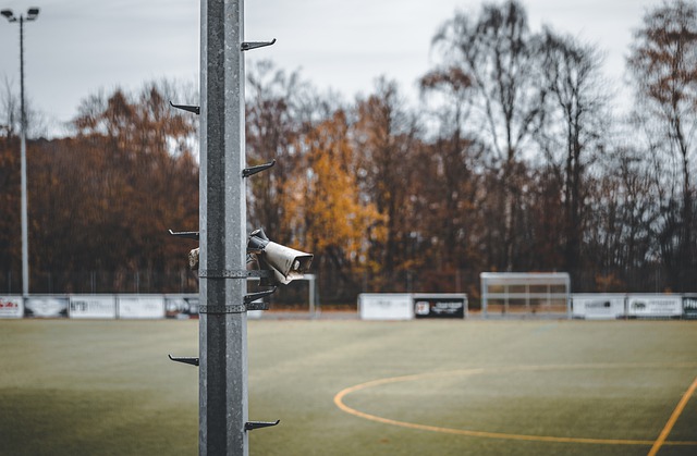 但凭借其全 但凭借其全