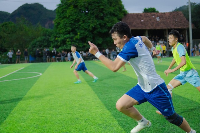 O优化融入 O优化融入